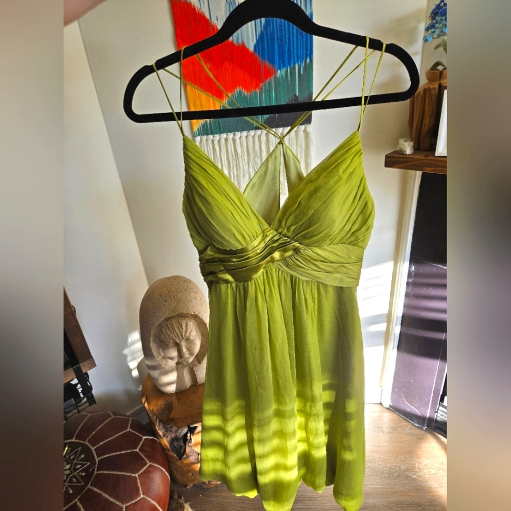 100% Silk Knee Length Cocktail Dress with Fitted Bodice - Picture 9 of 14